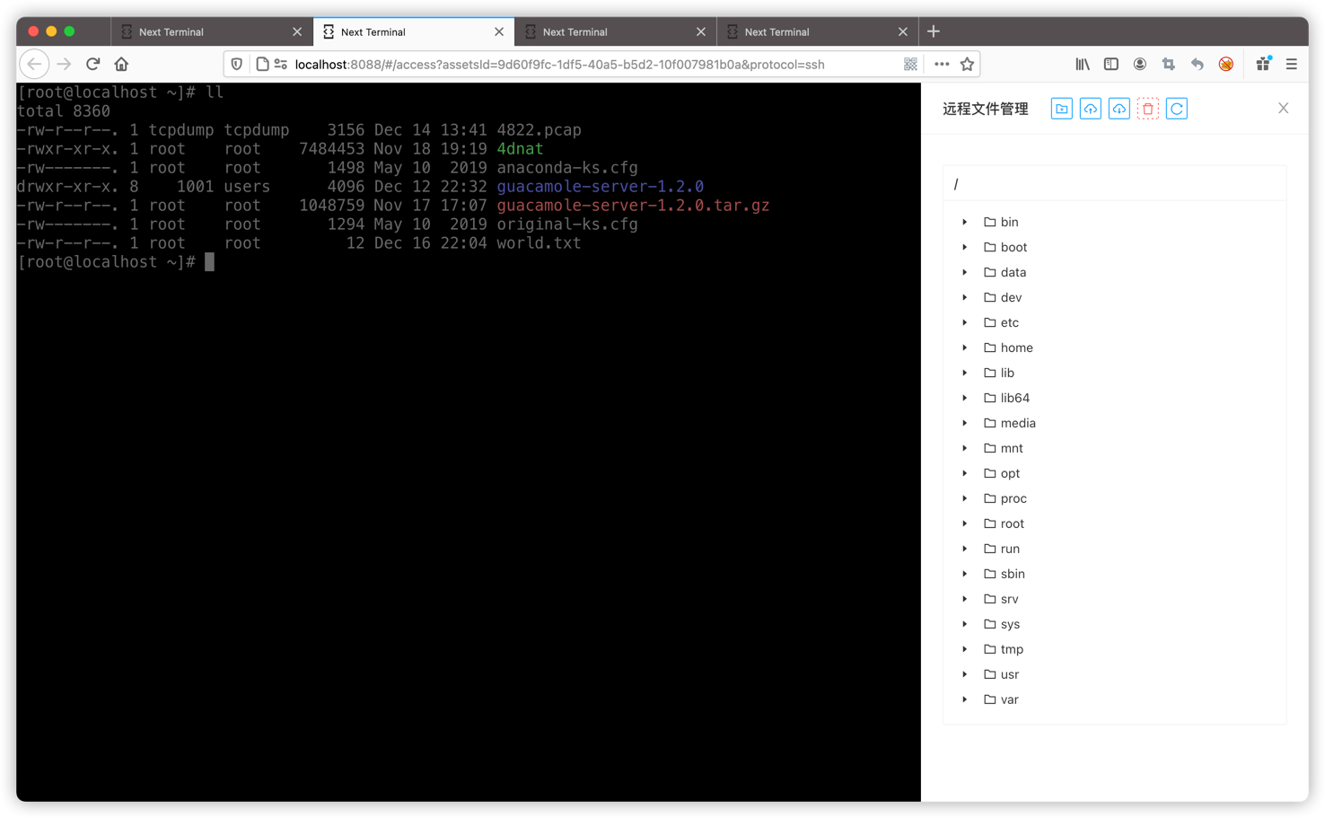 Next Terminal–开源免费HTML5的远程桌面网关，支持RDP、SSH、VNC和Telnet