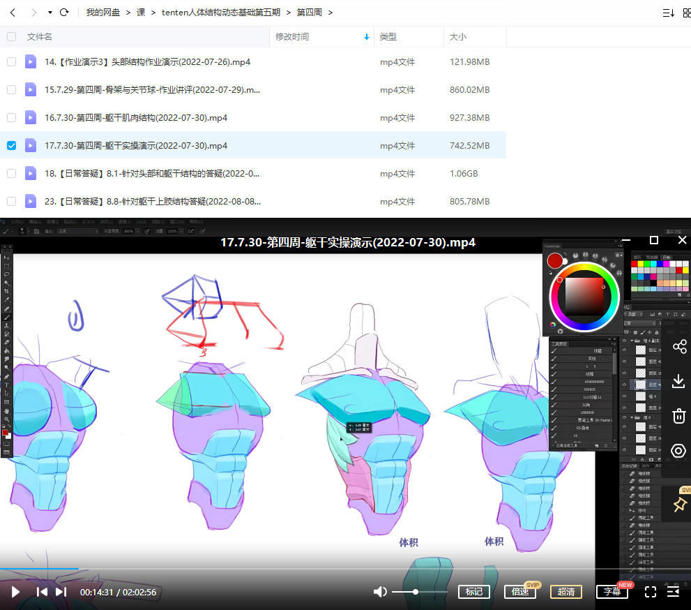 tenten云人体结构动态基础第五期2022年