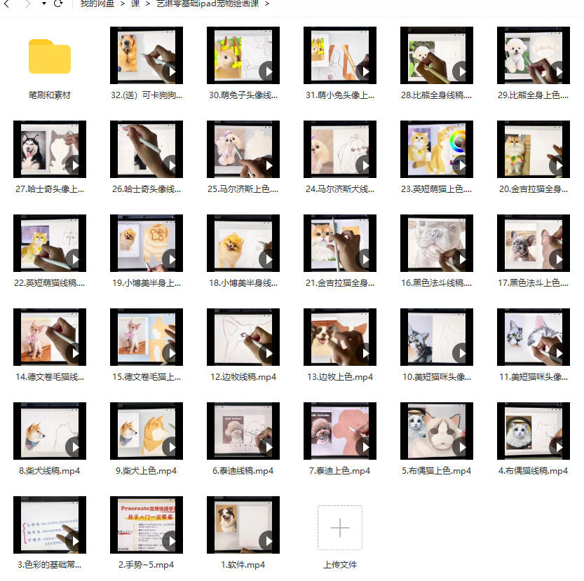 艺琳2022零基础ipad宠物绘画课